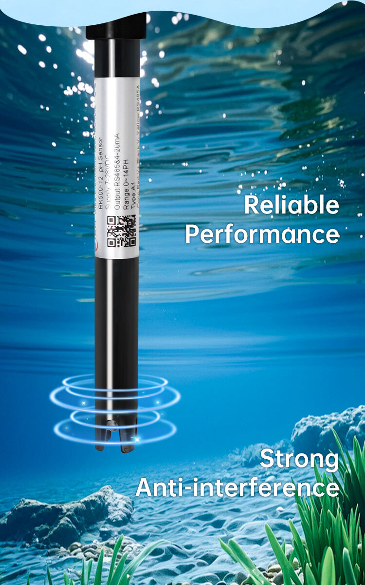 RK500-12 pH monitoring sensor