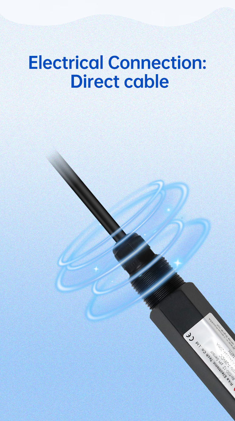 RK500-12 pH Sensor Electrical Connection: Direct cable