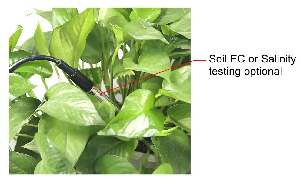 RK500-23 Soil EC Sensor & Soil Salinity Sensor 15