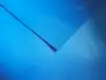 LINYANG oem odm pvc flim from China1 4