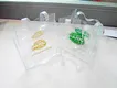 LIN-YANG widely used Translucent PVC Film pvc for umbrella 5