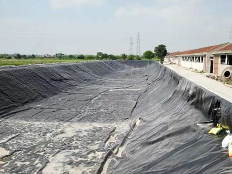 Good Selling Tarpaulin Sizes Directly Sale for Tent Tarps 4