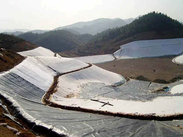 LIN-YANG Array image66