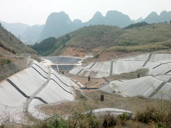 LIN-YANG Array image143