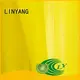 LINYANG weatherability tarpaulin film series for tent tarps 1