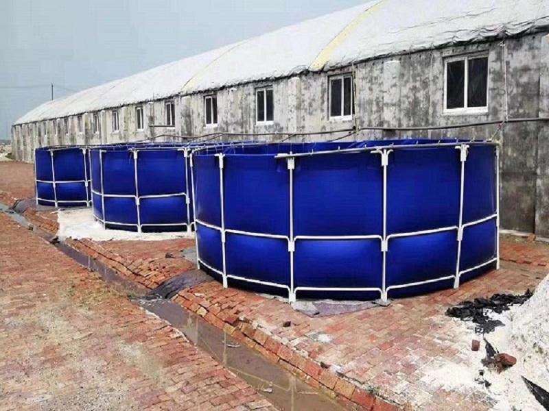 product-PVC Tarpaulin Fabric -LINYANG-img