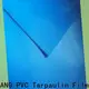 LINYANG anti-UV pvc plastic sheet roll design for household 1