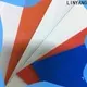 LINYANG antistripping tarpaulin film factory price for advertising banner 1