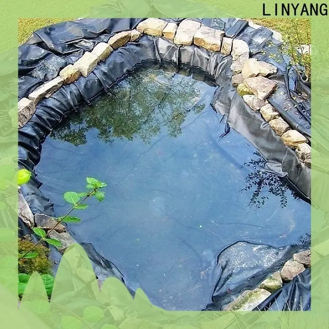 LINYANG 1