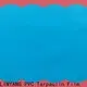 LINYANG pvc flim factory1 1