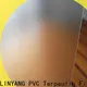 LINYANG waterproof pvc film eco friendly directly sale for umbrella 1