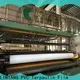 LINYANG new pvc stretch ceiling manufacturer 1