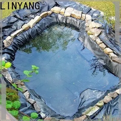 LINYANG good transparency Inflatable Toys PVC Film with good price for aquatic park4 1
