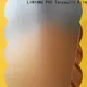 LINYANG antifouling pvc film eco friendly personalized for raincoat 1