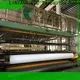 LINYANG pvc stretch ceiling exporter for industry 1