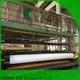 new pvc stretch ceiling exporter for industry 1