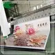 LINYANG factory Direct pvc coated nylon tarpaulin with custom services for roofs outdoor coverings2 1