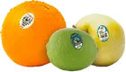 Price Labels Sheet Or Roll - - Easy Stick 4