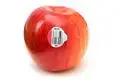 Label Printer Rolls Grade a - - Easy Stick 5