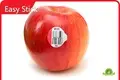 Food Label Sticks Pantone（CMYK) - - Easy Stick 1