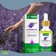 Long Lastingordinary Hair Growth Serum Kinodin 60ml 1