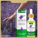 Hair Serum for Hair Growth Seeds Wholesale - Kinodin 1