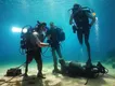 LSleds Best Underwater Video Lights Best Underwater Video Lightsat Discount 4