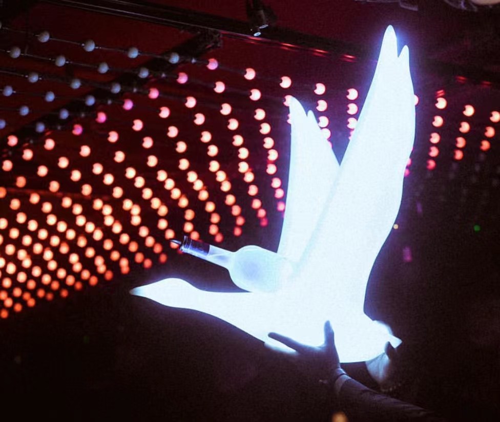 Présentoir à LED blanc pour bouteille de vodka Grey Goose pour discothèque 7