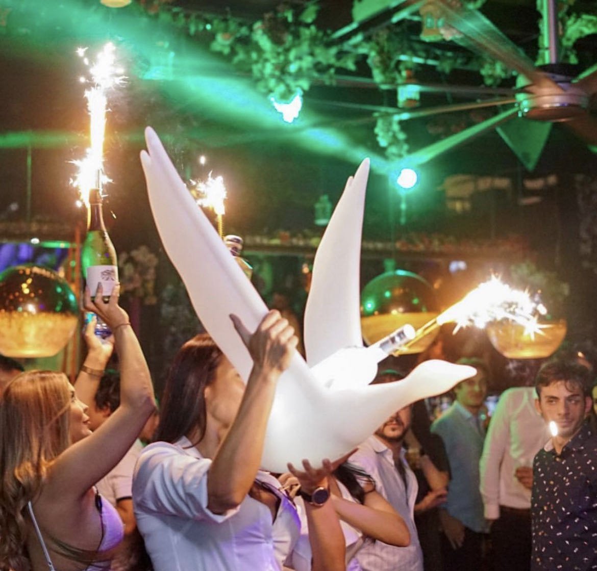 Présentoir à LED blanc pour bouteille de vodka Grey Goose pour discothèque 9