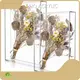 Acrylic Display Cubes Premium Acrylic by HQ ACRYLIC 1
