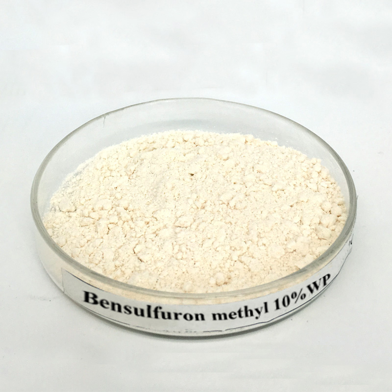 Bensulfuron-méthyl 10% WP | Contrôle de précision des mauvaises herbes à feuilles larges et carex dans les champs de riz | Païens 3