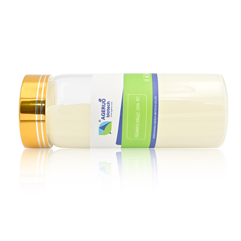 Herbicide Quinclorac 250g/L SC | POMAÏS 4