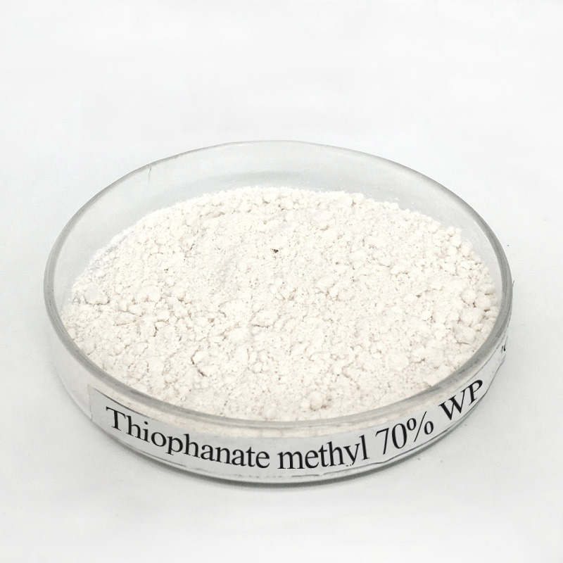 Thiophanate-Méthyl 70% WP – Fongicide systémique avancé pour la protection des cultures 1