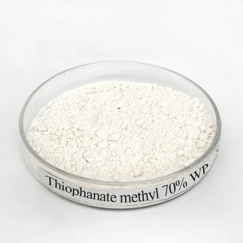 Thiophanate-Methyl 70% WP – Advanced Systemic Fungicide for Crop Protection 1