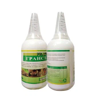 Tribénuron-méthyl 75 % WDG — Herbicide inhibiteur sélectif de l'ALS pour le blé 2