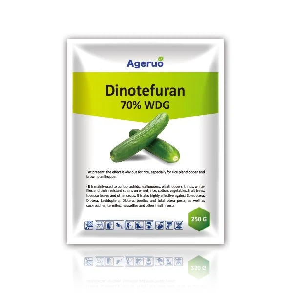 Dinotefurano 70% WDG 1
