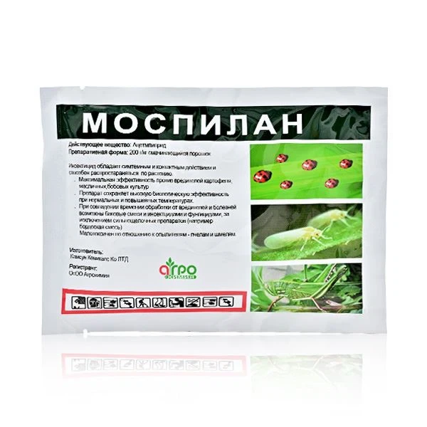 Acetamiprid 70% WP 1