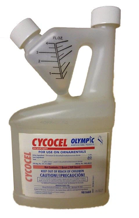 Chlormequat 98% TC 2