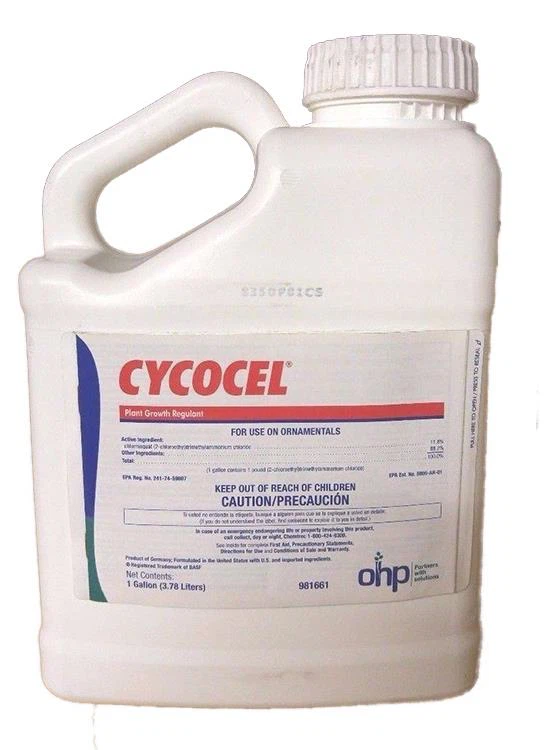 Chlormequat 98% TC 3