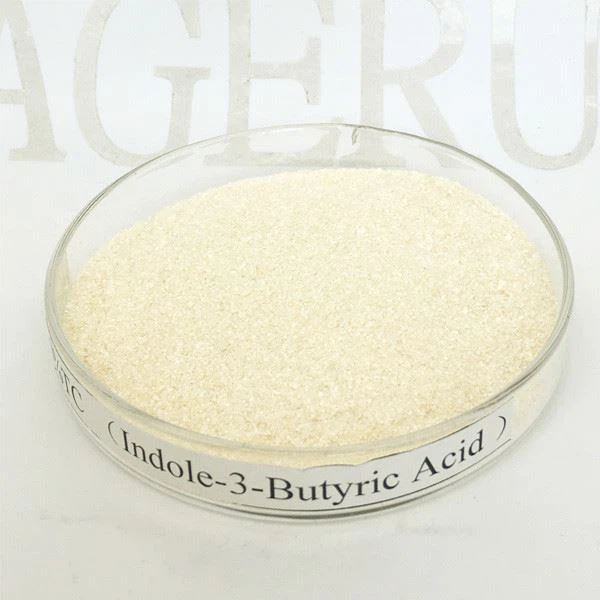 Acide IBA indole-3-butyrique 98 % TC 2