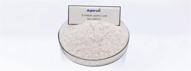 Acide indole-3-acétique 98 % TC – Auxine avancée pour l&39;agriculture 2