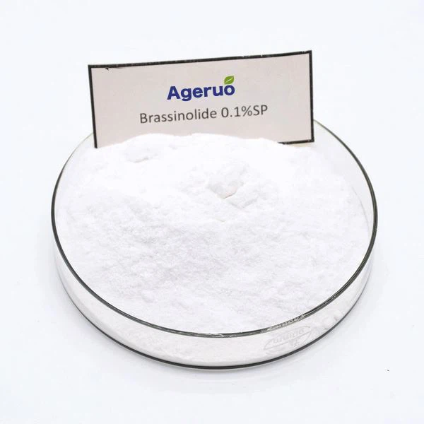 Brassinolide 90 % TC – Stimulant de croissance des plantes de qualité supérieure pour usage commercial 1