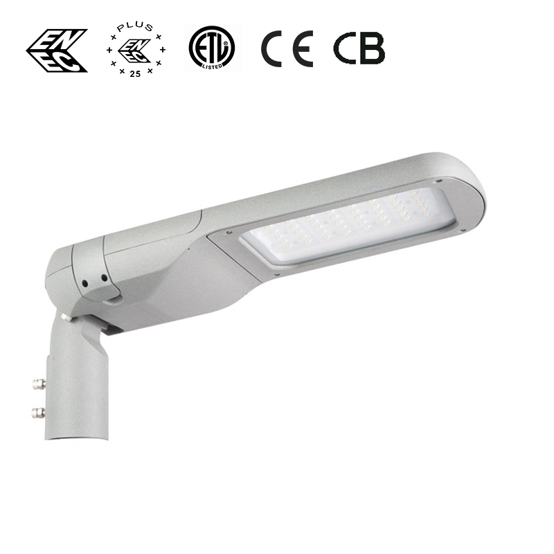 CHZ-ST29 LED Street Lighting Fixture Class I/II ، ENEC+ Certified- 测试 1
