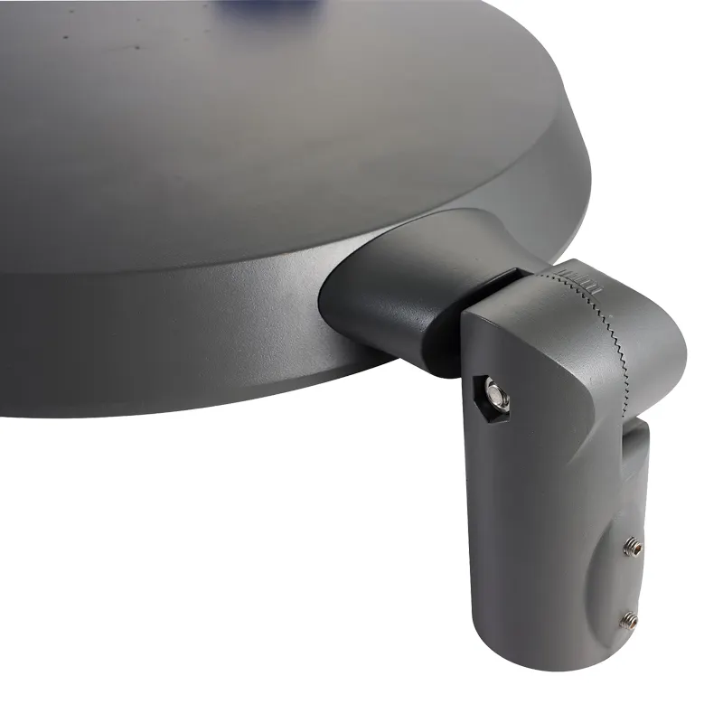 CHZ Lighting Top landscape path lighting distributor for gardens 2