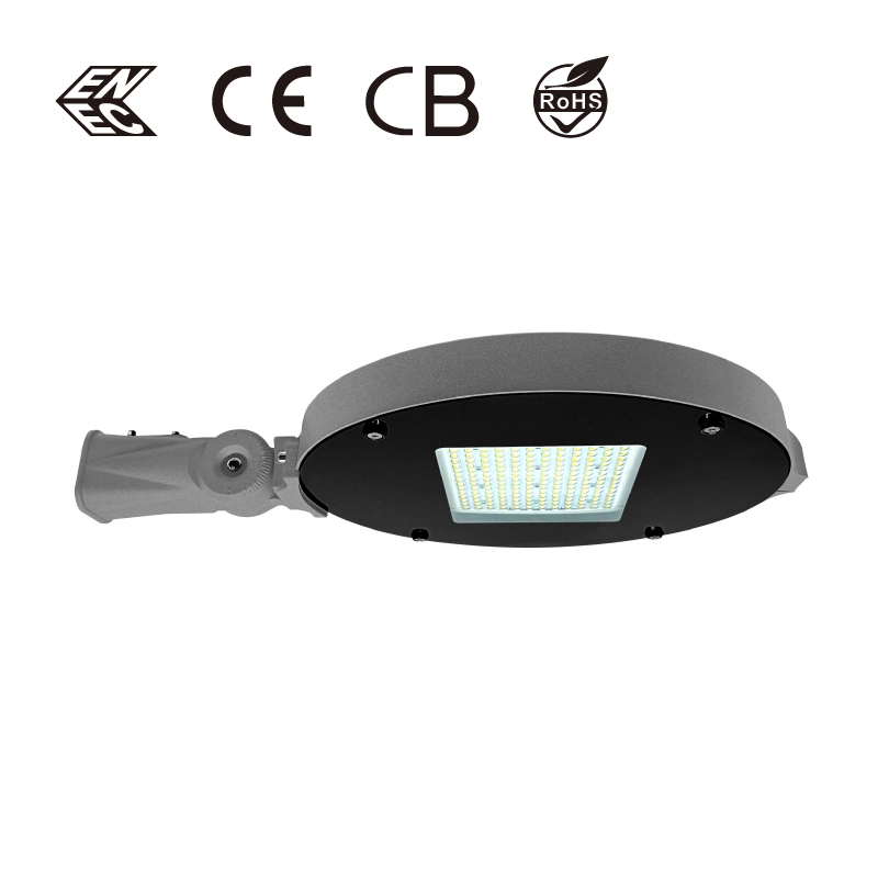 مصباح حديقة LED CHZ-GD29C إضاءة حديقة خارجية IP66 1