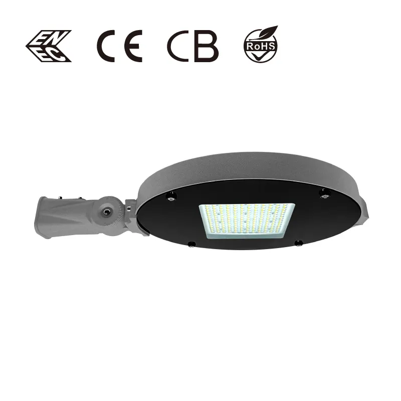 CHZ Lighting led yard light for residential areas 1
