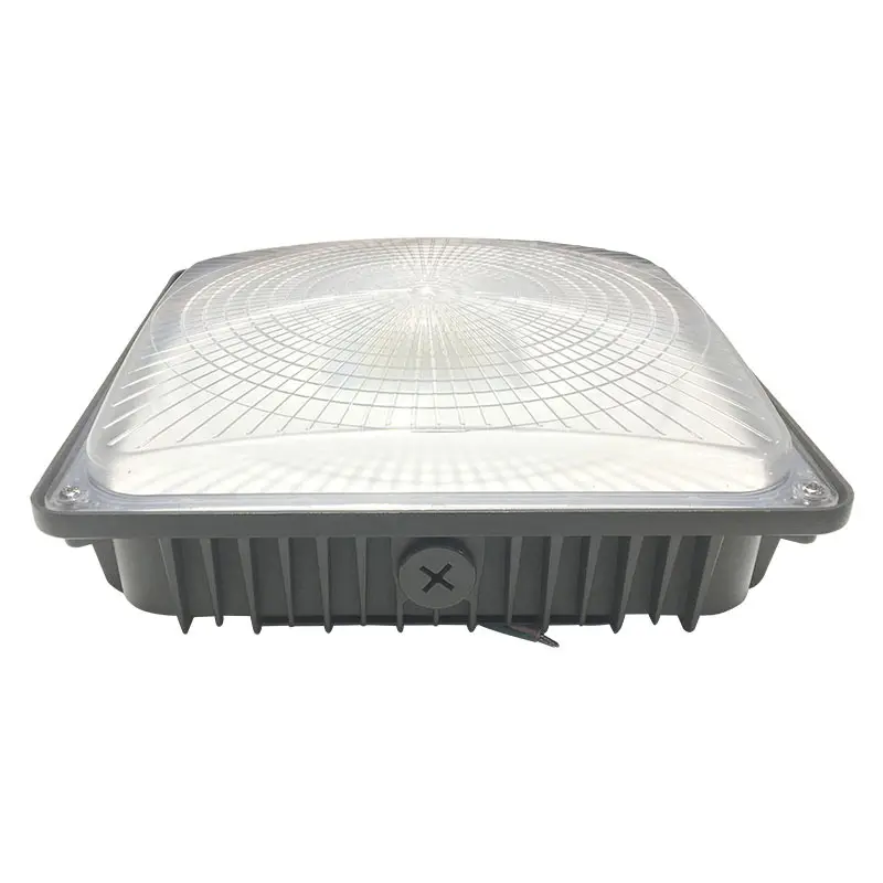 CHZ Array image320