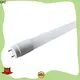 CHZ fluorescent tube light supplier bulk buy 1