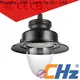 CHZ garden lighting led with good price for gardens 1