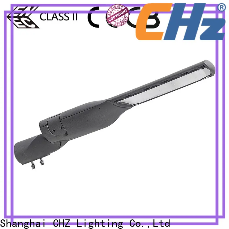 Custom made led street lights vs conventional vendor for road 1